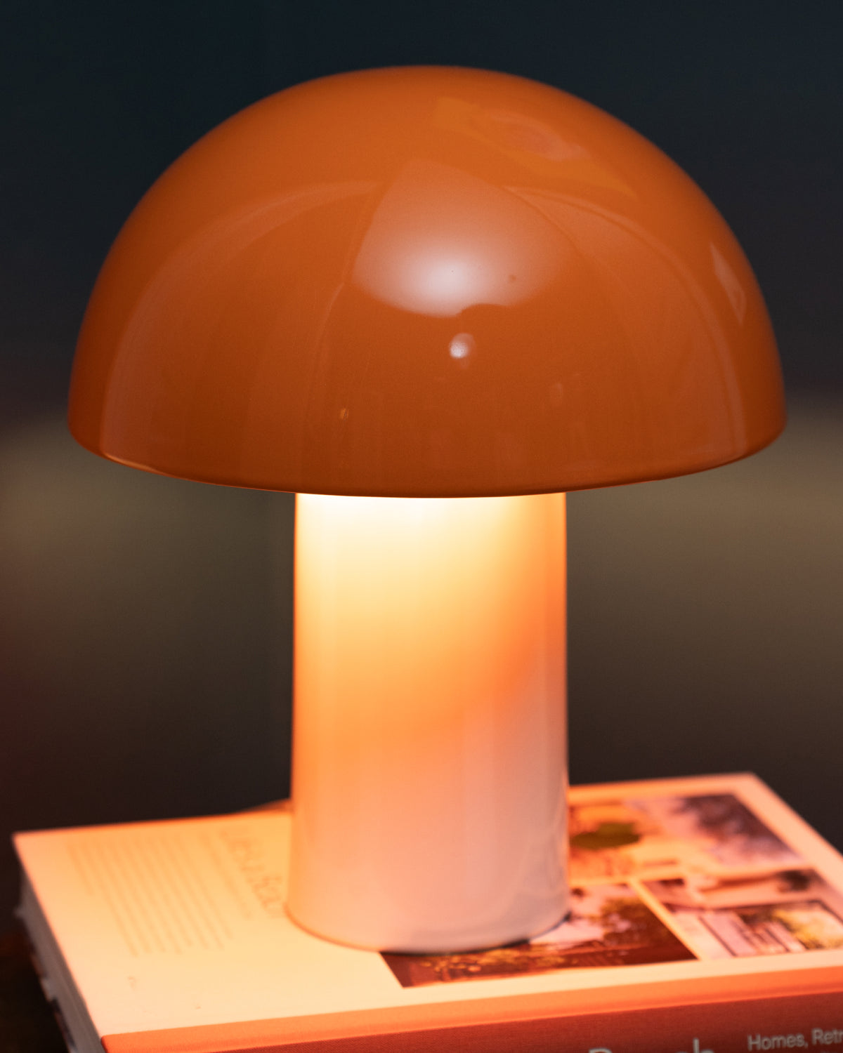 Eine orange Tischlampe mit halbkugelförmigem Schirm steht auf einem aufgeschlagenen Buch und beleuchtet es.